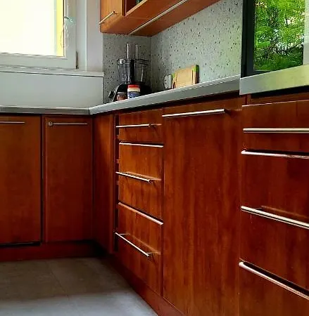 Czesnikowska Na Targi Stadion Mtp Apartment *