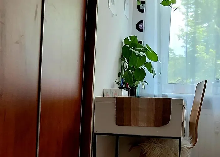 Czesnikowska Na Targi Stadion Mtp *